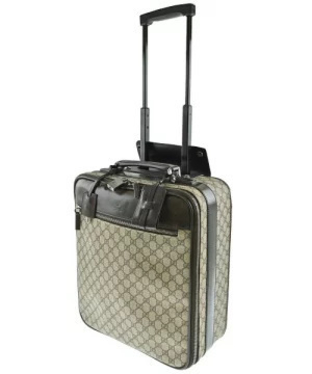 Gucci Carry on Suitcase Brown All over